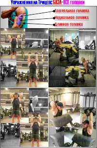 Сначала делается БАЗА