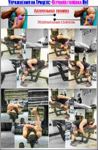 Верхний Трицепс ПОДКОВА  №1